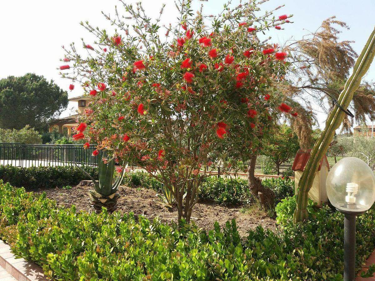 Campobello di Licata Villa Milici מראה חיצוני תמונה