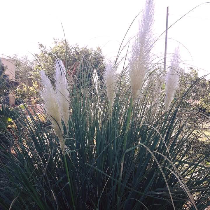Campobello di Licata Villa Milici מראה חיצוני תמונה